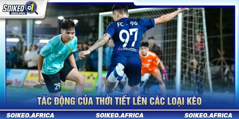 Thời Tiết Ảnh Hưởng Trận Đấu: Mưa, Gió & Mặt Sân Thời tiết ảnh hưởng trận đấu và dữ liệu tỷ lệ trước giờ bóng lăn