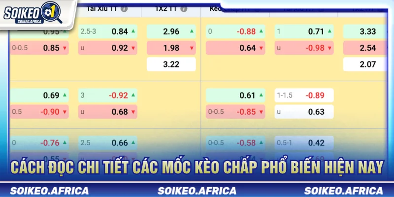 Kèo chấp bóng đá là gì và cách đọc các mốc handicap